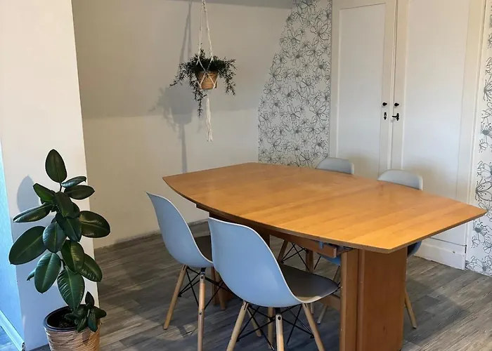 Ruhige Mit Waldblick